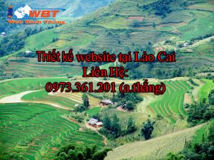 Thiết kế website giá rẻ Lào Cai